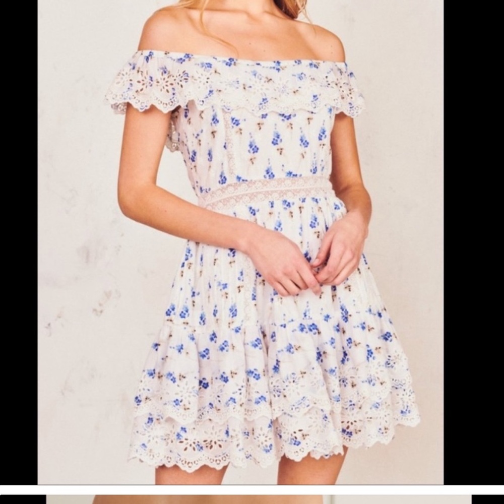 LOVESHACKFANCY Denver Floral-printed Mini Dress. Size 4